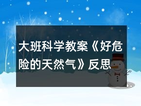 大班科学教案《好危险的天然气》反思