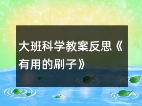 大班科学教案反思《有用的刷子》