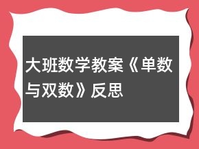 大班数学教案《单数与双数》反思