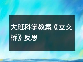 大班科学教案《立交桥》反思