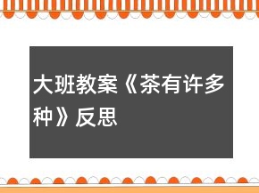 大班教案《茶有许多种》反思