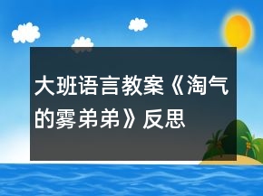 大班语言教案《淘气的雾弟弟》反思