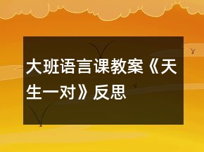 大班语言课教案《天生一对》反思
