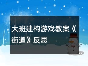 大班建构游戏教案《街道》反思