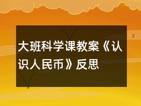 大班科学课教案《认识人民币》反思