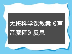 大班科学课教案《声音魔箱》反思