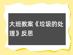 大班教案《垃圾的处理》反思
