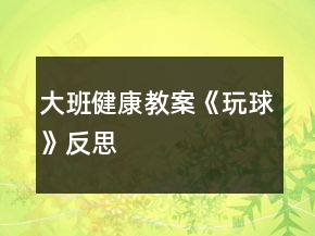 大班健康教案《玩球》反思