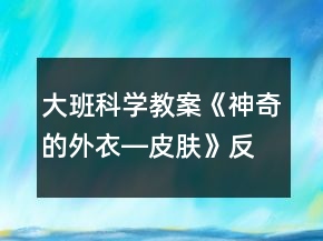 大班科学教案《神奇的外衣―皮肤》反思