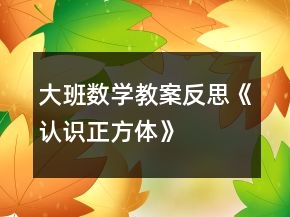 大班数学教案反思《认识正方体》