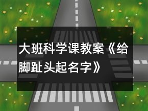 大班科学课教案《给脚趾头起名字》