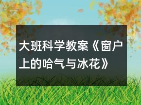大班科学教案《窗户上的哈气与冰花》