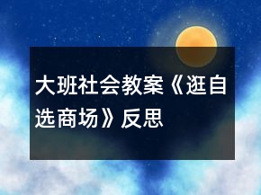 大班社会教案《逛自选商场》反思