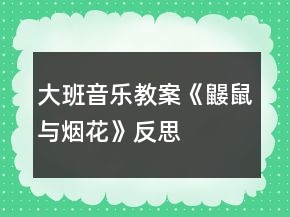大班音乐教案《鼹鼠与烟花》反思