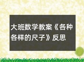 大班数学教案《各种各样的尺子》反思