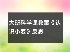 大班科学课教案《认识小麦》反思