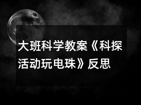 大班科学教案《科探活动玩电珠》反思