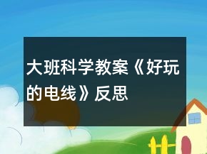大班科学教案《好玩的电线》反思