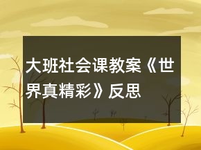 大班社会课教案《世界真精彩》反思