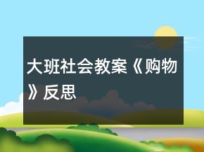 大班社会教案《购物》反思