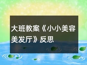 大班教案《小小美容美发厅》反思