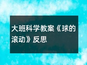 大班科学教案《球的滚动》反思