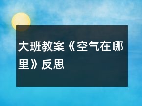 大班教案《空气在哪里》反思