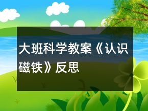大班科学教案《认识磁铁》反思