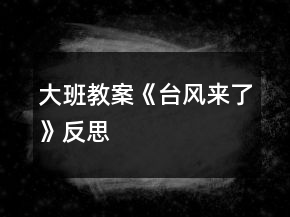 大班教案《台风来了》反思