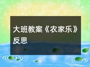 大班教案《农家乐》反思