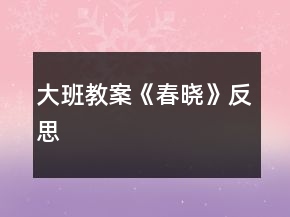 大班教案《春晓》反思