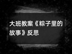 大班教案《粽子里的故事》反思