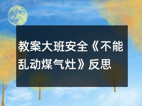 教案大班安全《不能乱动煤气灶》反思