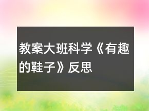 教案大班科学《有趣的鞋子》反思