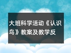 大班科学活动：《认识鸟》教案及教学反思
