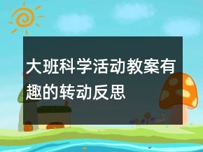 大班科学活动教案：有趣的“转动”反思