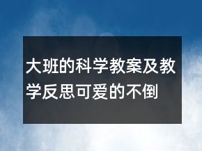 大班的科学教案及教学反思：可爱的不倒翁