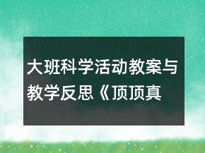 大班科学活动教案与教学反思《顶顶真有趣》