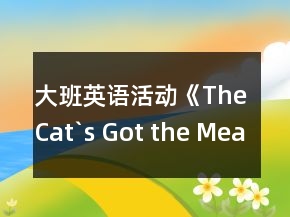 大班英语活动《The Cat`s Got the Measles》教案与教学反思