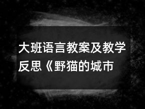 大班语言教案及教学反思：《野猫的城市》