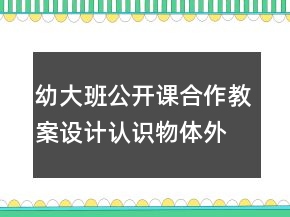 幼大班公开课合作教案设计：认识物体外部特征
