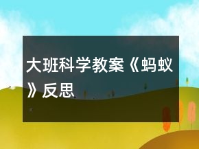 大班科学教案《蚂蚁》反思