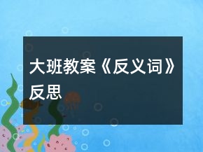 大班教案《反义词》反思