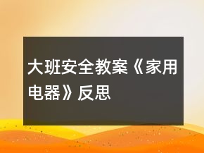 大班安全教案《家用电器》反思