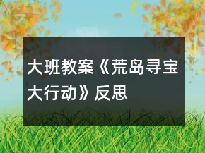 大班教案《荒岛寻宝大行动》反思