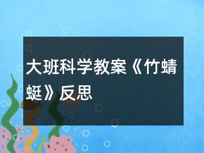 大班科学教案《竹蜻蜓》反思