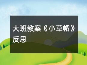 大班教案《小草帽》反思