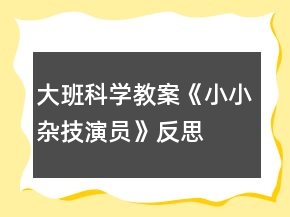 大班科学教案《小小杂技演员》反思