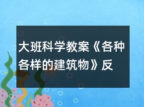 大班科学教案《各种各样的建筑物》反思