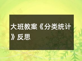大班教案《分类统计》反思